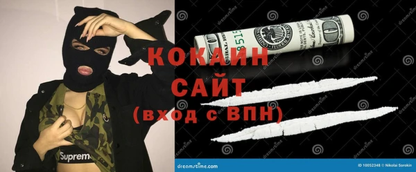 твердый Няндома