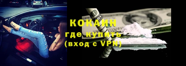 твердый Няндома