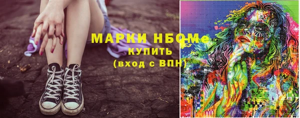 твердый Няндома