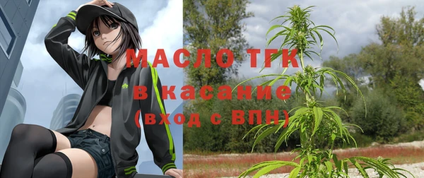 твердый Няндома