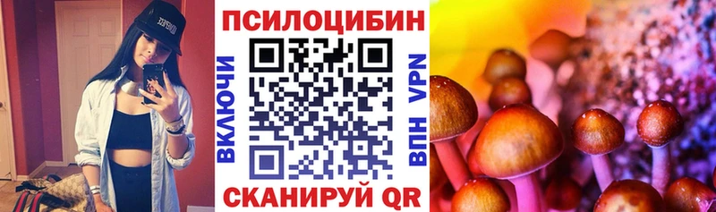 где можно купить наркотик Чехов Галлюциногенные грибы Magic Shrooms